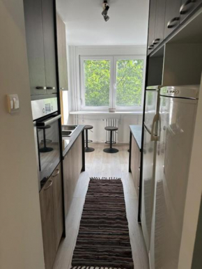 Modern one bedroom in the center of Belgrade